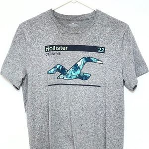 Men's Hollister Medium T-Shirt